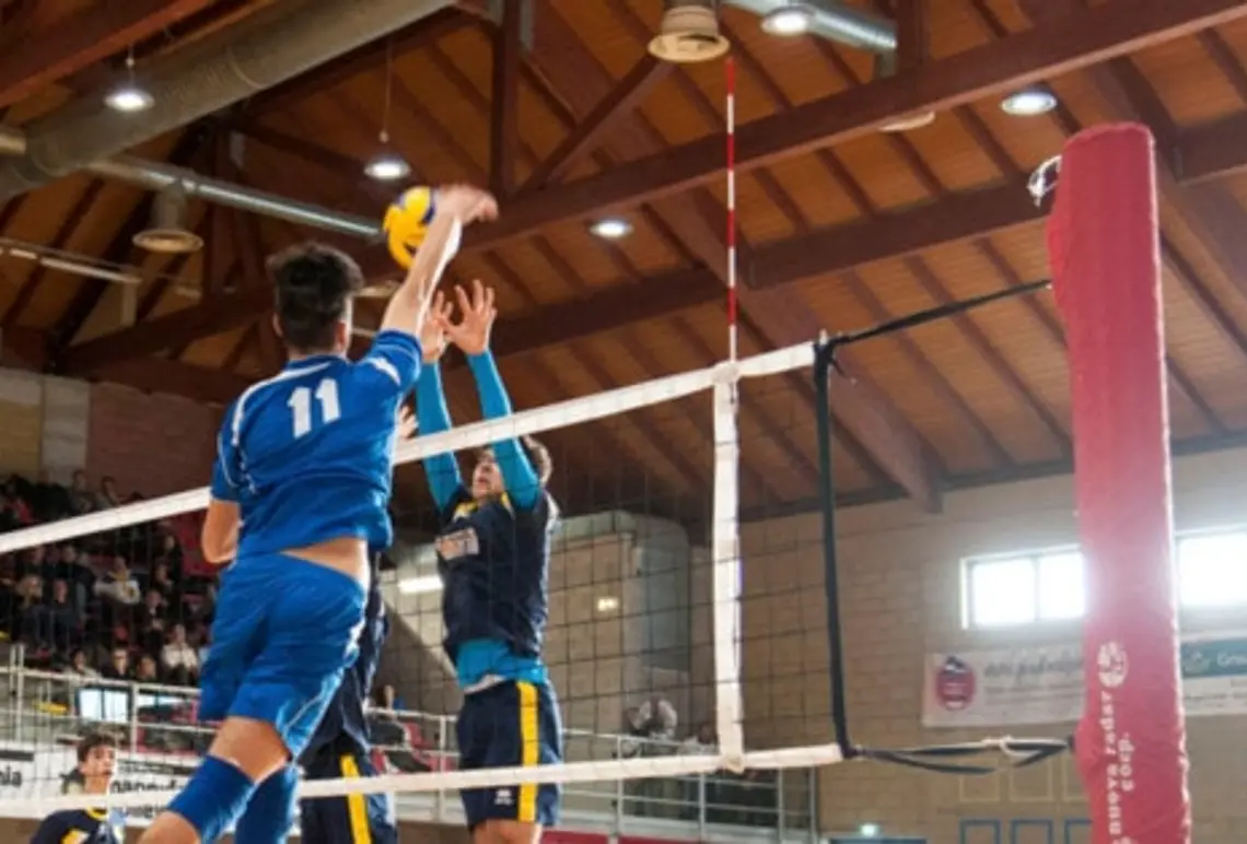 HAPPYFANIA VOLLEY 2018 HAPPYFANIA VOLLEY 2018
