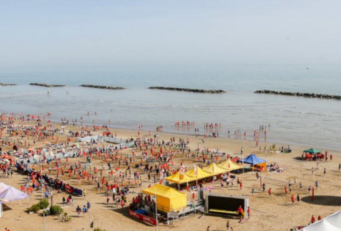 YOUNG VOLLEY 2019 YOUNG VOLLEY 2019