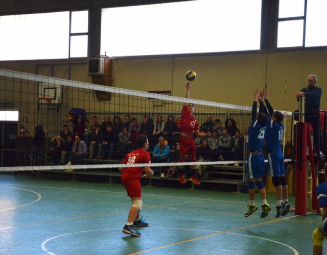 5° HAPPYFANIA VOLLEY