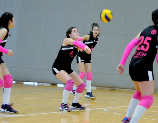 6° HAPPYFANIA VOLLEY 6° HAPPYFANIA VOLLEY