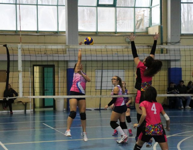 6° HAPPYFANIA VOLLEY 6° HAPPYFANIA VOLLEY