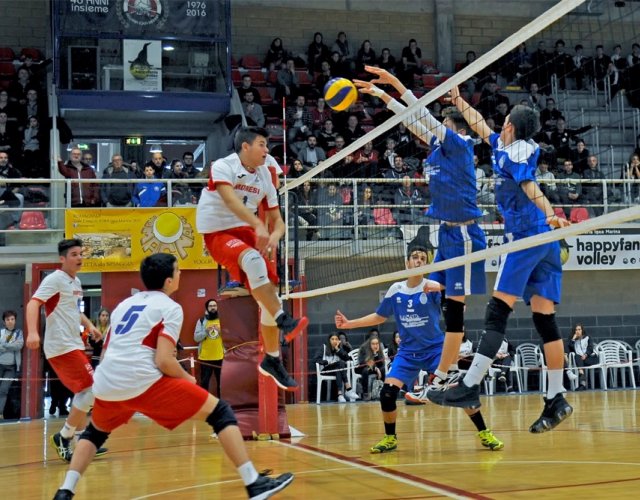 6° HAPPYFANIA VOLLEY 6° HAPPYFANIA VOLLEY