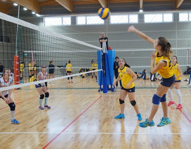 7° HAPPYFANIA VOLLEY 7° HAPPYFANIA VOLLEY