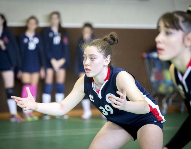 7° HAPPYFANIA VOLLEY 7° HAPPYFANIA VOLLEY