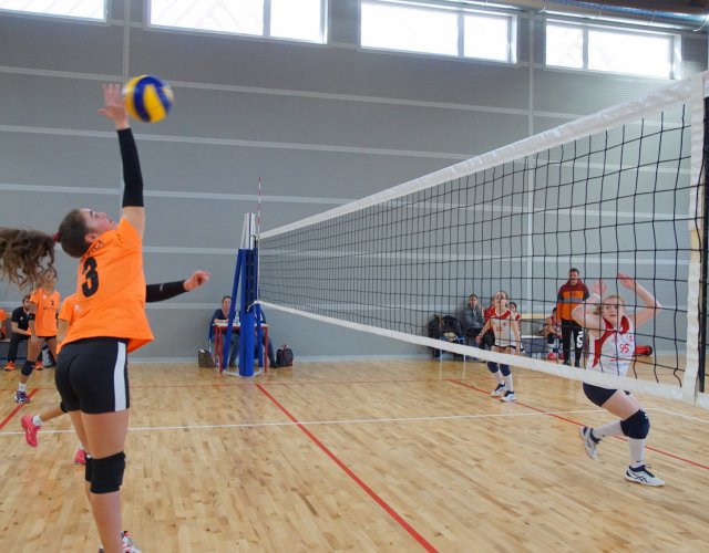 7° HAPPYFANIA VOLLEY 7° HAPPYFANIA VOLLEY