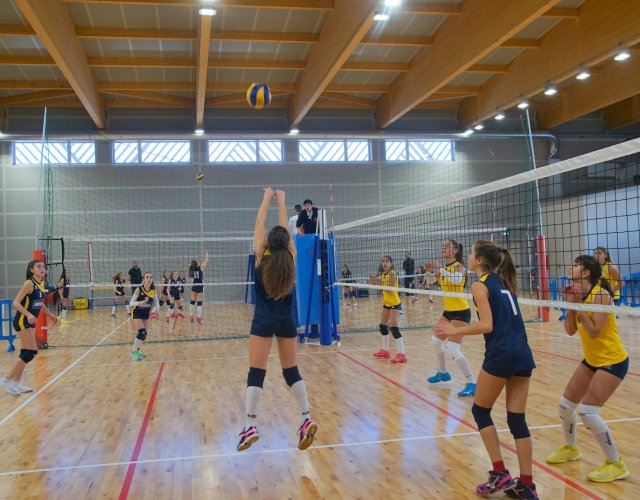 7° HAPPYFANIA VOLLEY 7° HAPPYFANIA VOLLEY