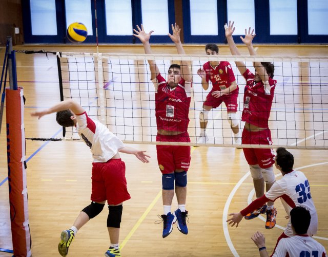 7° HAPPYFANIA VOLLEY 7° HAPPYFANIA VOLLEY