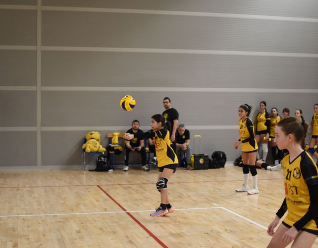 11° HAPPYFANIA VOLLEY 11° HAPPYFANIA VOLLEY