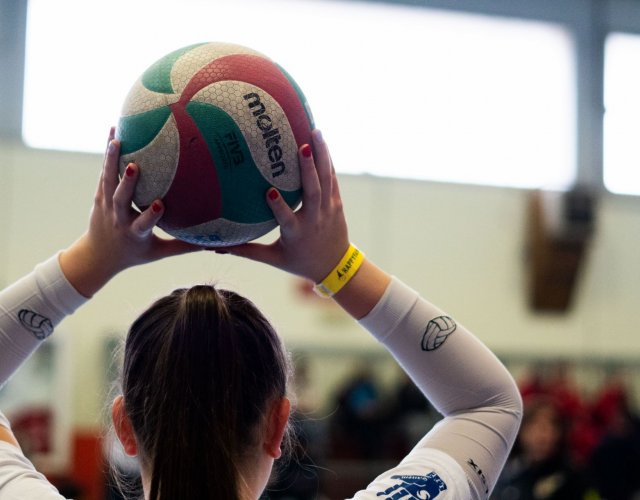 11° HAPPYFANIA VOLLEY 11° HAPPYFANIA VOLLEY