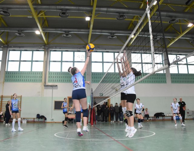 11° HAPPYFANIA VOLLEY 11° HAPPYFANIA VOLLEY