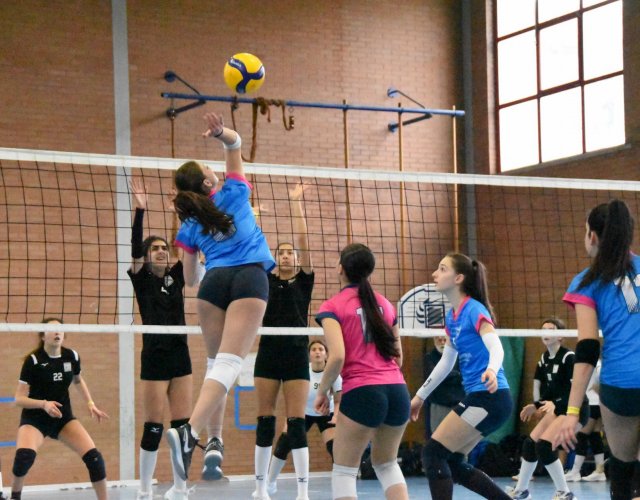 11° HAPPYFANIA VOLLEY 11° HAPPYFANIA VOLLEY