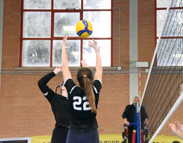 11° HAPPYFANIA VOLLEY 11° HAPPYFANIA VOLLEY