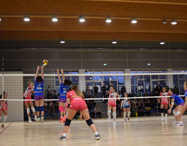 11° HAPPYFANIA VOLLEY 11° HAPPYFANIA VOLLEY