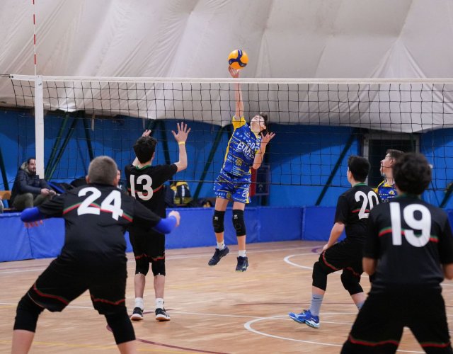 12° HAPPYFANIA VOLLEY 12° HAPPYFANIA VOLLEY