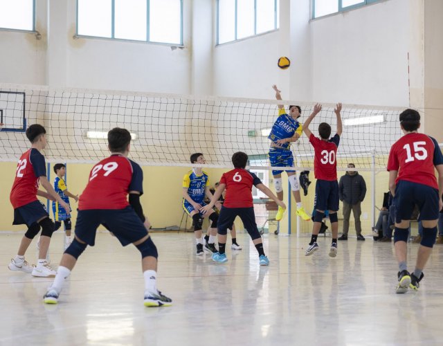 12° HAPPYFANIA VOLLEY 12° HAPPYFANIA VOLLEY