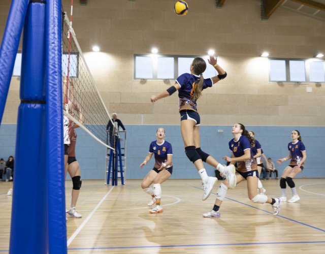 13° HAPPYFANIA VOLLEY