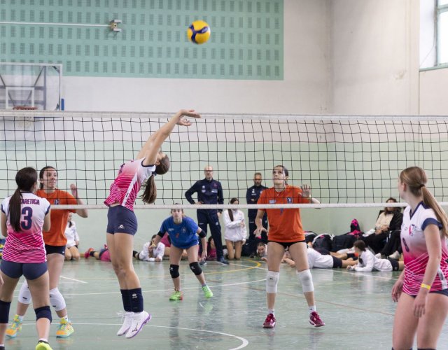 13° HAPPYFANIA VOLLEY