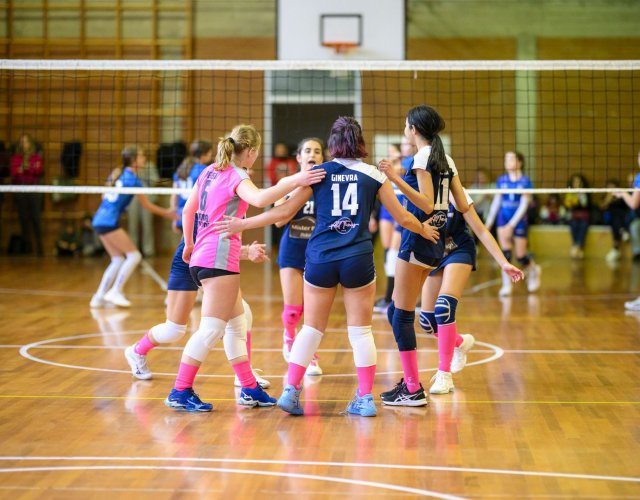 13° HAPPYFANIA VOLLEY