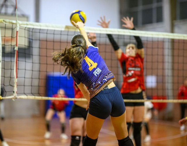 13° HAPPYFANIA VOLLEY