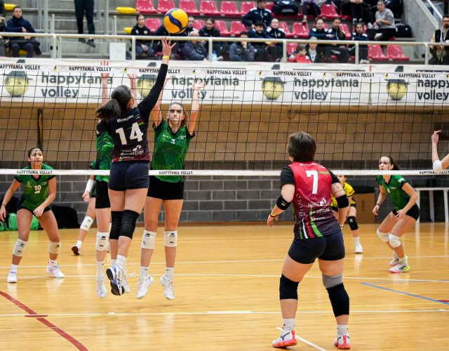 13° HAPPYFANIA VOLLEY