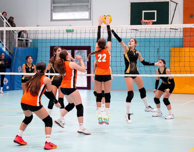 13° HAPPYFANIA VOLLEY