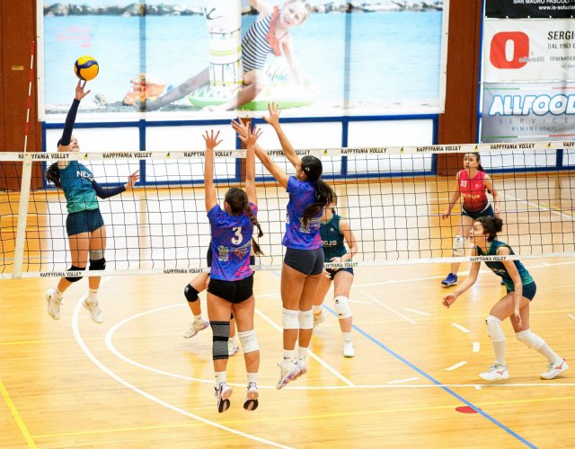 13° HAPPYFANIA VOLLEY