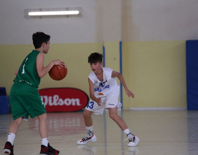 BASKET