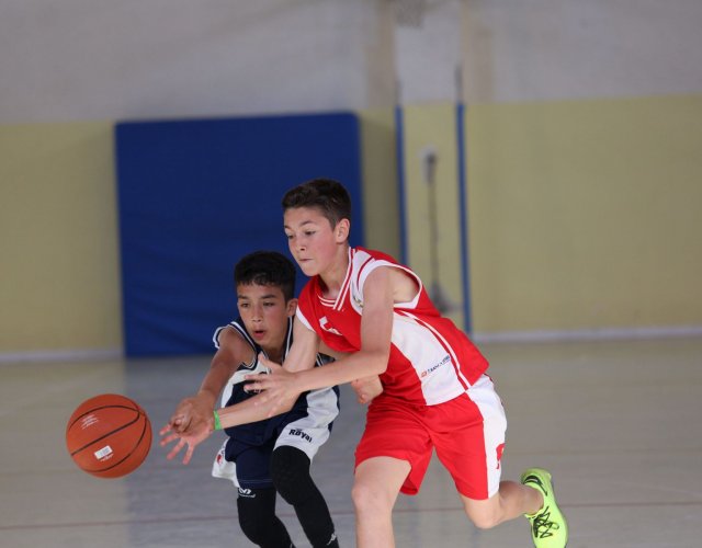 BASKET