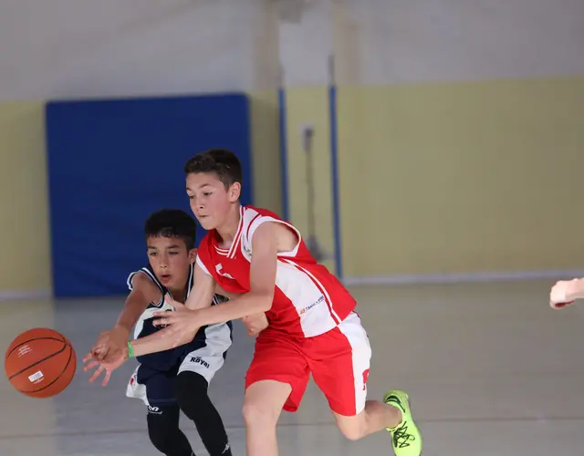 BASKET