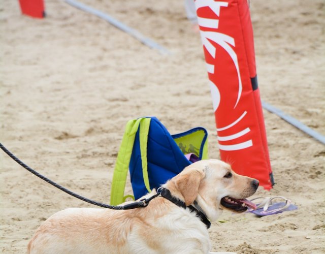 19° YOUNG VOLLEY ON THE BEACH