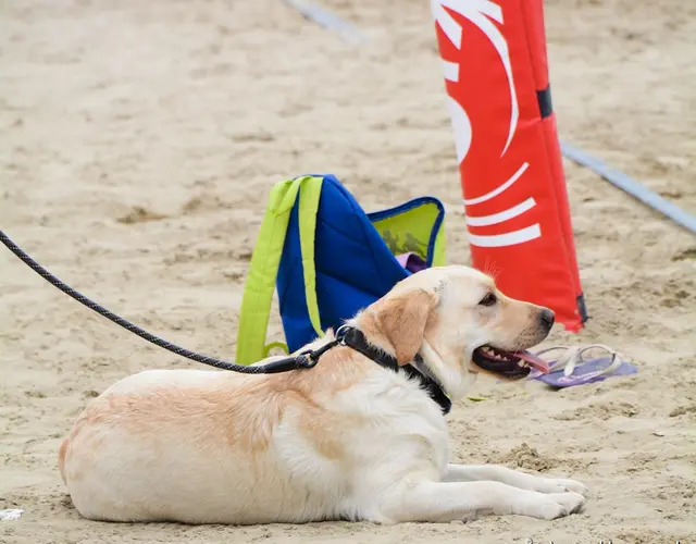 19° YOUNG VOLLEY ON THE BEACH